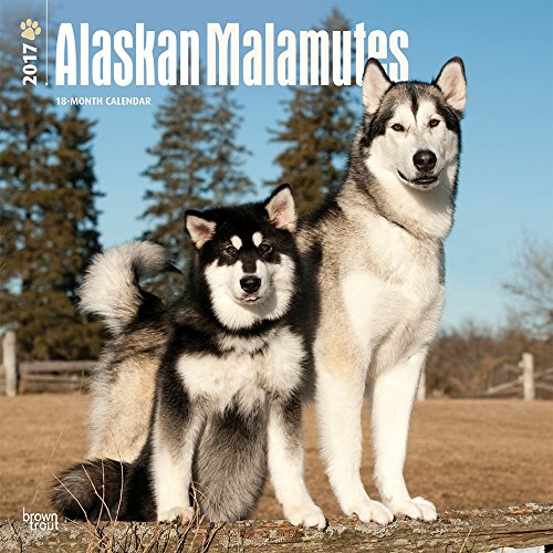Alaskan Malamutes 2017 Wall Calendar