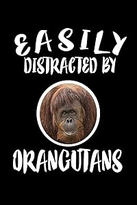 Easily Distracted By Orangutans: Animal Nature Collection