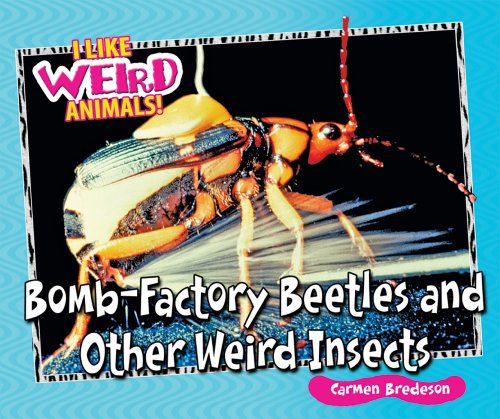 Bomb-Factory Beetles and Other Weird Insects by Carmen Bredeson
