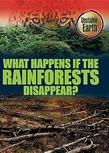 What Happens If the Rain Forests Disappear?