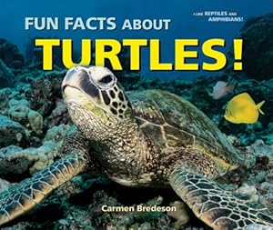 Fun Facts About Turtles! (I Like Reptiles and Amphibians!)