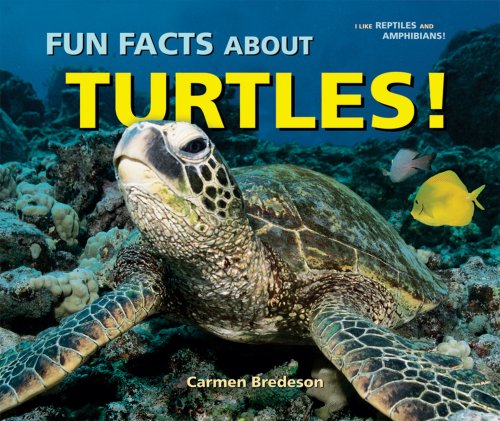 Fun Facts About Turtles! (I Like Reptiles and Amphibians!) by Carmen Bredeson