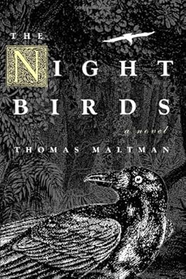 Night Birds
