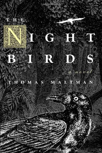 Night Birds by Thomas Maltman