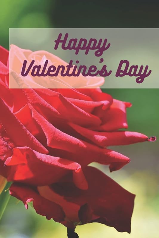 Happy Valentine's Day: A great Valentine's Gift For The Special One(120 Pages, 6 x 9 in, 15.24 x 22.86 cm) by BOUDAL Publishing