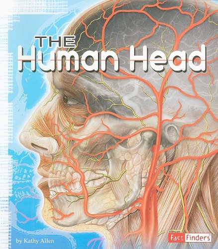 The Human Head by Kathy Allen