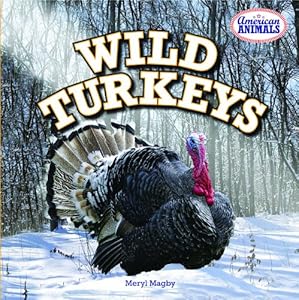 Wild Turkeys