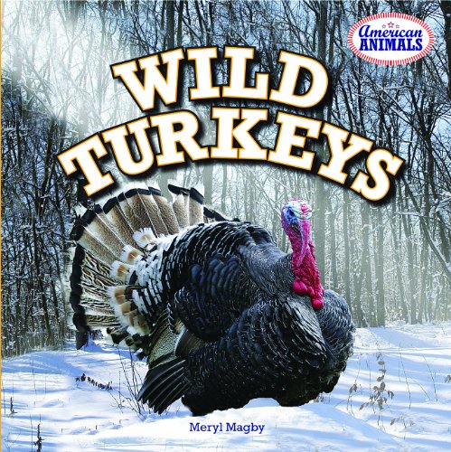 Wild Turkeys by Meryl Magby