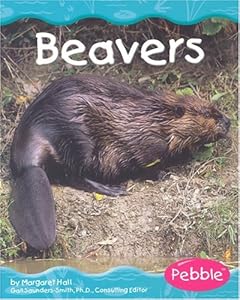 Beavers (Wetland Animals)