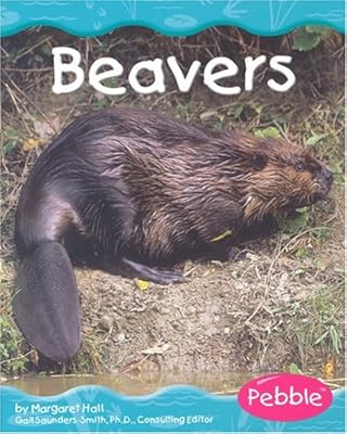 Beavers (Wetland Animals)