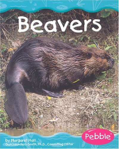 Beavers (Wetland Animals) by Gail Saunders-Smith