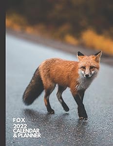 Fox: 2022 Calendar & Planner. Daily, Weekly and Monthly Organizer. Animal Lover Gifts