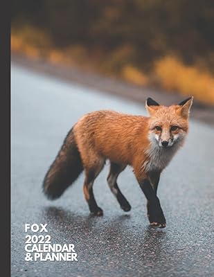 Fox: 2022 Calendar & Planner. Daily, Weekly and Monthly Organizer. Animal Lover Gifts