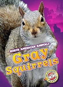Gray Squirrels
