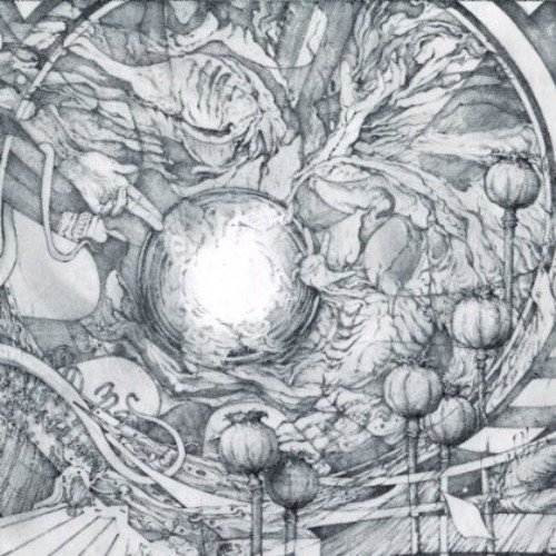 Algopix Similar Product 4 - 