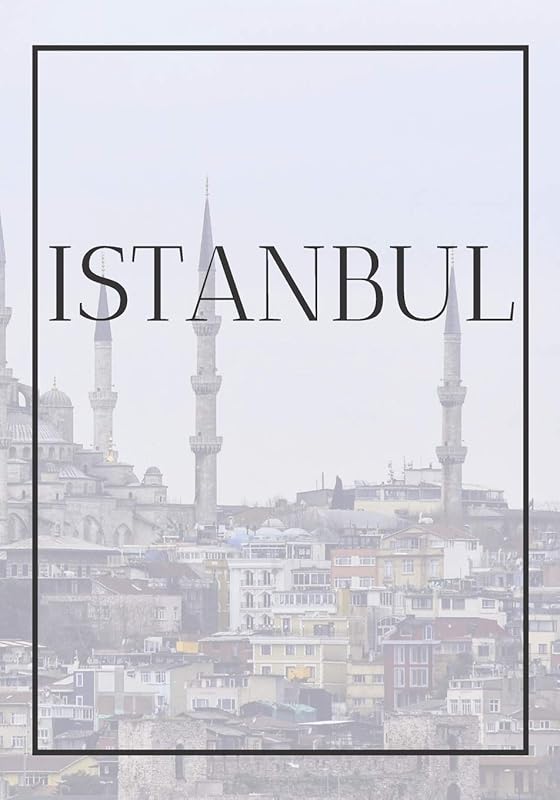 Istanbul: A decorative book for coffee tables, bookshelves, bedrooms and interior design styling: Stack International city books to add decor to any ... own home or as a modern home decoration gift. by CONTEMPORARY INTERIOR DESIGN