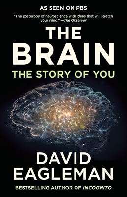 The Brain: The Story of You