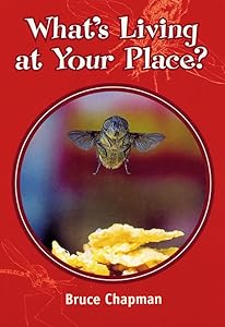 Skyracer Yellow – What’s Living at Your Place?: Pulse racing guided reading for year 3. by Bruce Chapman