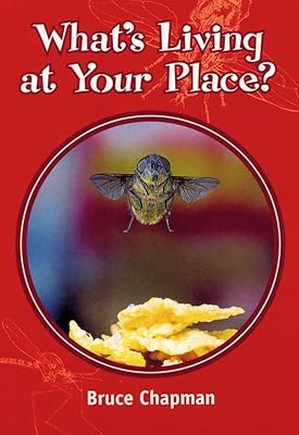 Skyracer Yellow – What’s Living at Your Place?: Pulse racing guided reading for year 3.