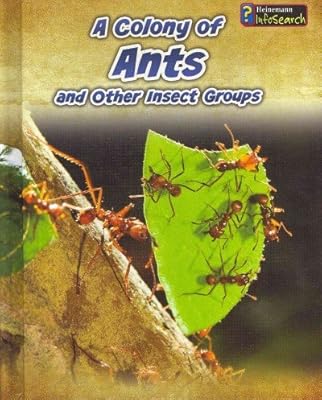 A Colony of Ants: and Other Insect Groups
