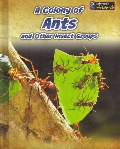 A Colony of Ants: and Other Insect Groups by Anna Claybourne