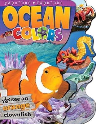 Ocean Colors Big Board Book