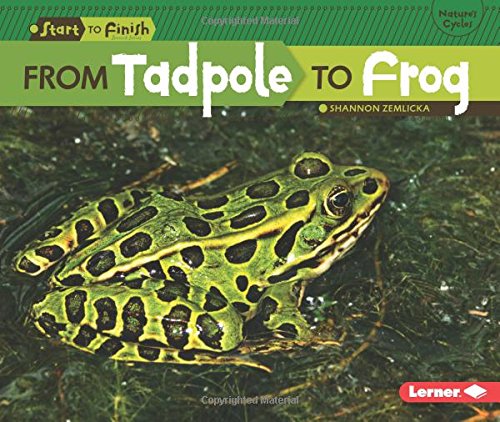 From Tadpole to Frog by Shannon Zemlicka