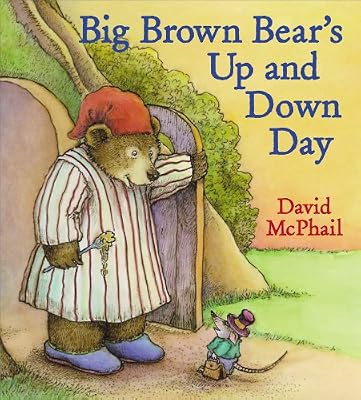 Big Brown Bear's Up and Down Day