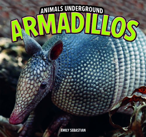 Armadillos by Emily Sebastian