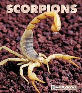 Scorpions (New Naturebooks)