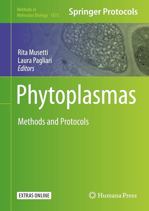 Phytoplasmas: Methods and Protocols (Methods in Molecular Biology, 1875) by Rita Musetti