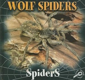 Wolf Spiders (Spiders Discovery Library)