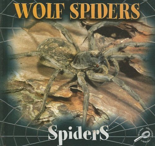 Wolf Spiders (Spiders Discovery Library) by Jason Cooper