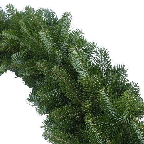 Algopix Similar Product 5 - Worcester Wreath 6Feet Maine Balsam