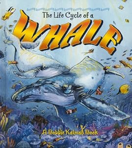 The Life Cycle of a Whale