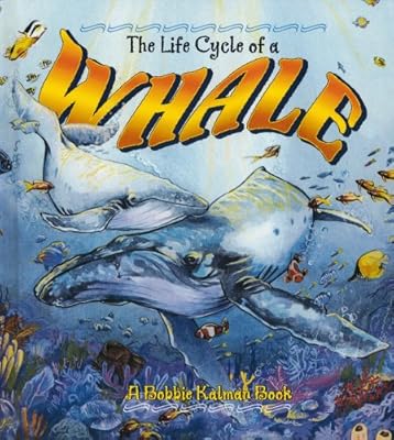 The Life Cycle of a Whale