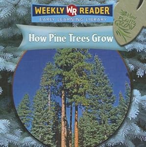 How Pine Trees Grow (How Plants Grow)