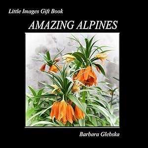 Amazing Alpines: Little Images Gift Book by Barbara Glebska