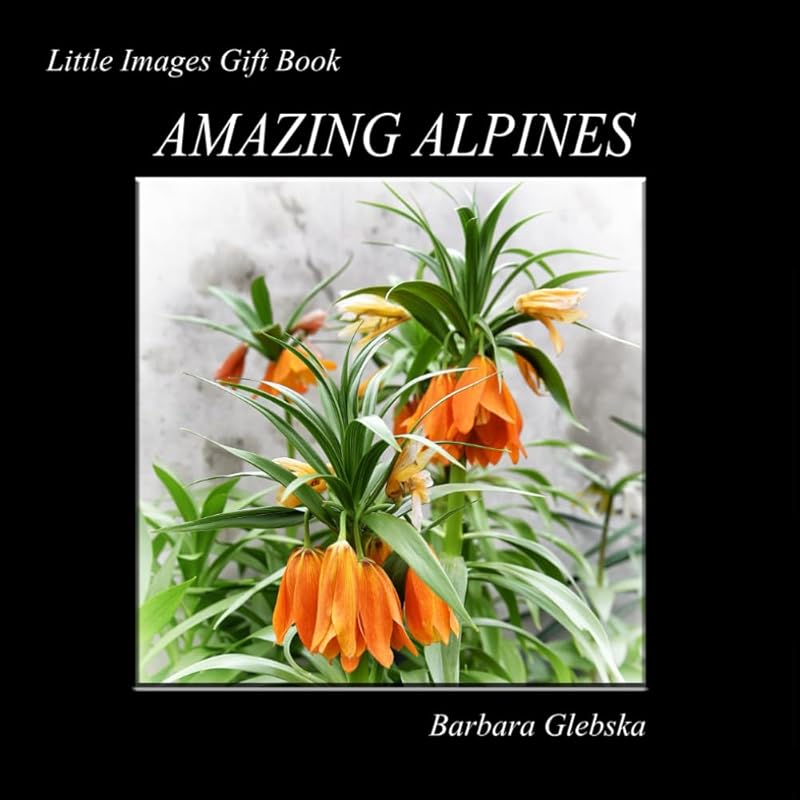 Amazing Alpines: Little Images Gift Book by Barbara Glebska