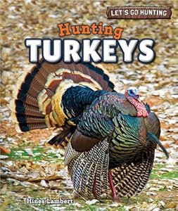 Hunting Turkeys