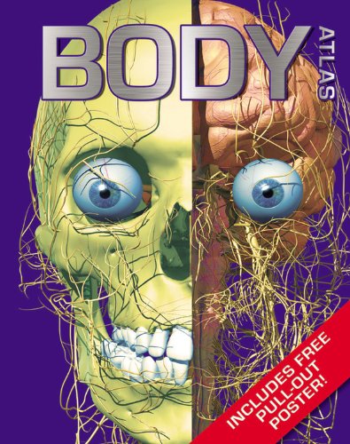 Body Atlas by Ticktock