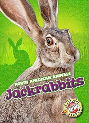 Jackrabbits