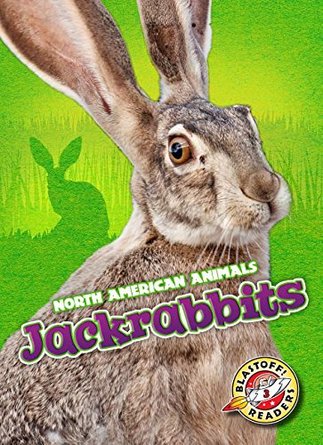 Jackrabbits by Christina Leaf