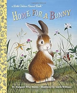 Home for a Bunny