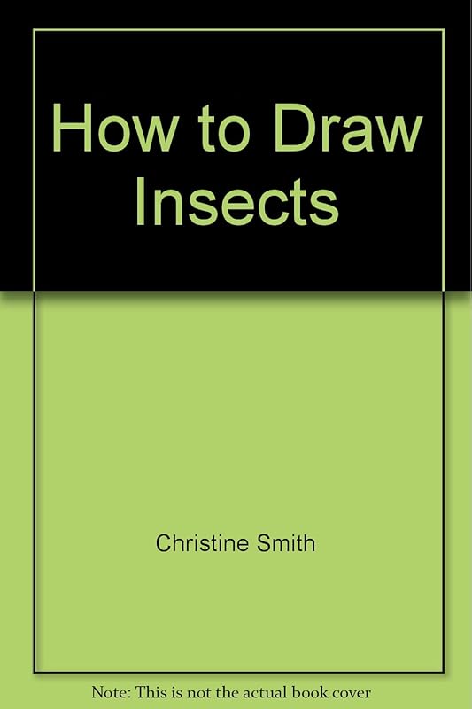 How to Draw Insects by Christine Smith
