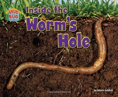 Inside the Worm's Hole