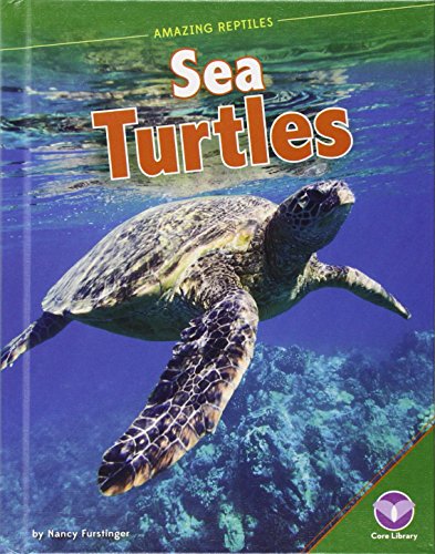 Sea Turtles by Nancy Furstinger