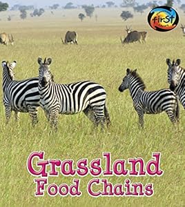 Grassland Food Chains