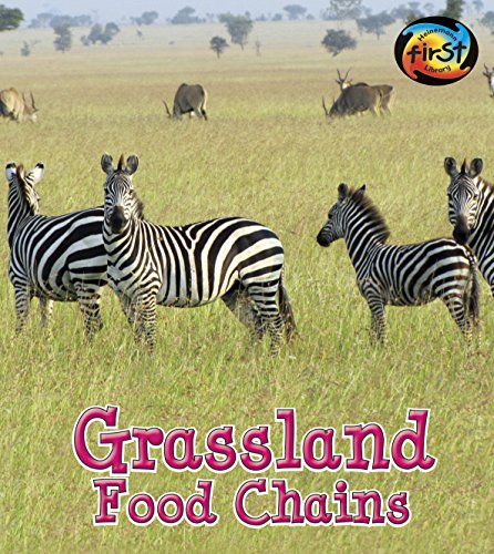 Grassland Food Chains by Angela Royston