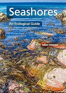 Seashores: An Ecological Guide